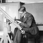 Adriaan Stierman